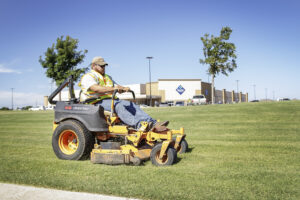 Maintaining Landscaping in Late Summer